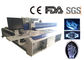 Grande macchina di cristallo dell'incisione laser della scala 3D, macchina per incidere sotto la superficie dell'analizzatore rapido fornitore